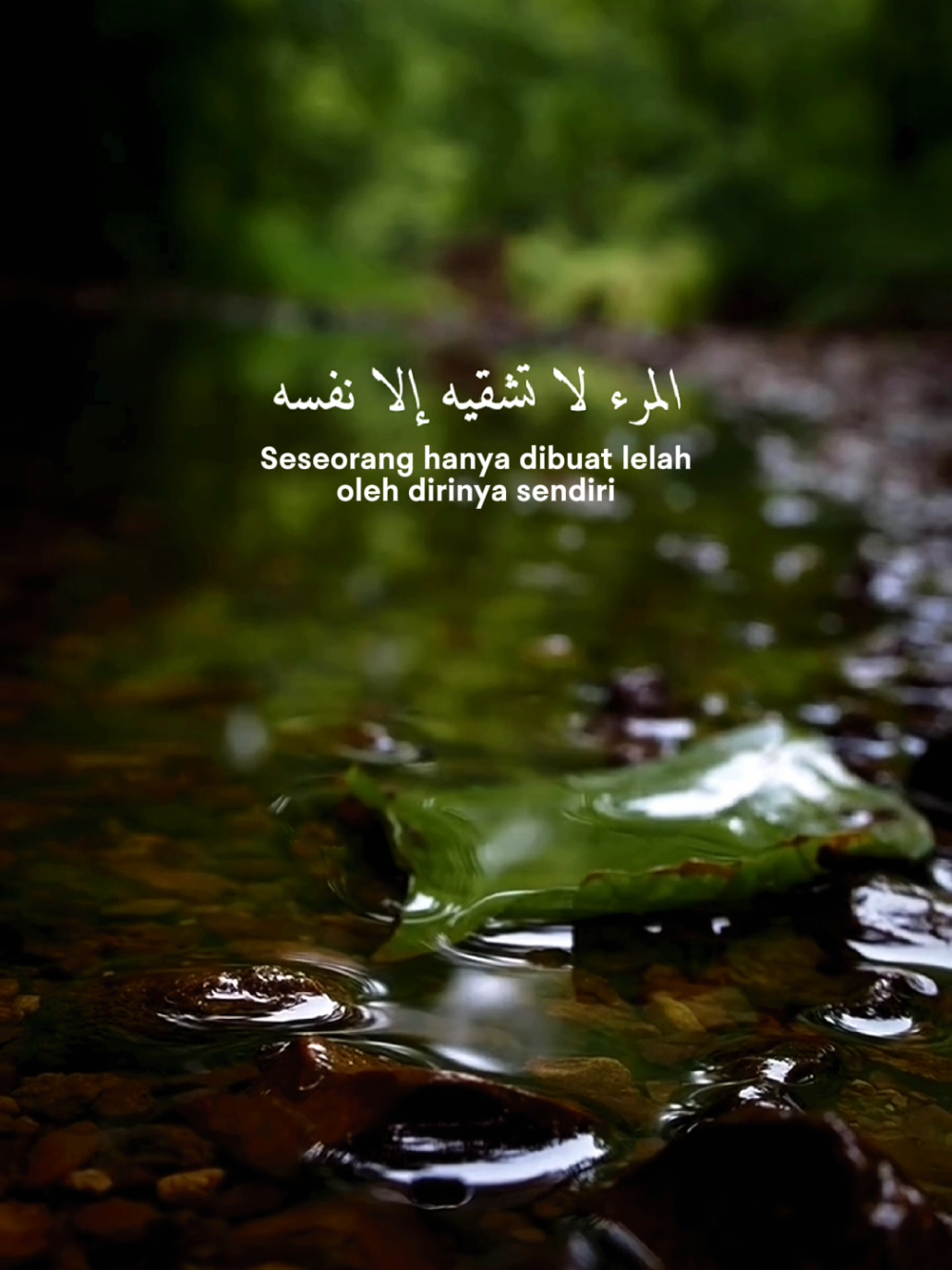 ✔️Bismillah  Assalamu'alaikum  Allahumma sholli ala sayyidina Muhammad wa ala ali sayyidina Muhammad  #CapCut  #self_reminder_quotes_islamic  #story_pinterestVid_templateMoon  #nasehatdiri_motivasi_kehidupanislami  #fypシ゚_viral_🖤tiktok 