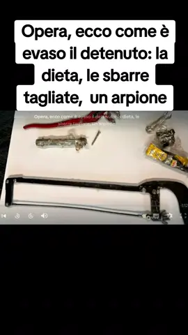 L' Albanese Taulant Toma aveva pianificato da tempo la fuga dal carcere. L'indagine è affidata al Nucleo Catturandi della Polizia penitenziaria. Toma deve scontare una condanna fino al 2048 per rapine, furti e spa ccio di dro ga