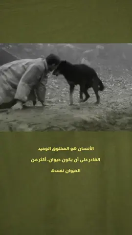 ‏مجددًا، الأنسان هو المخلوق الوحيد  القادر على أن يكون حيوان، أكثر من  الحيوان نفسه . . . . . . . .#fyp #video #explorepage #تصميم_فيديوهات🎶🎤🎬 #الشعب_الصيني_ماله_ح