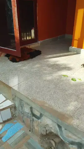 mbali batuma hooo🫢🫢🫢