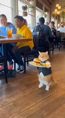 Everything was normal 😔 then everything changed in a second 😞🐈🍌  #viral #MiloTheOrangeCat #FYP #OrangeCat #vira 