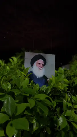 السيد محمد الصدر قدس سره 