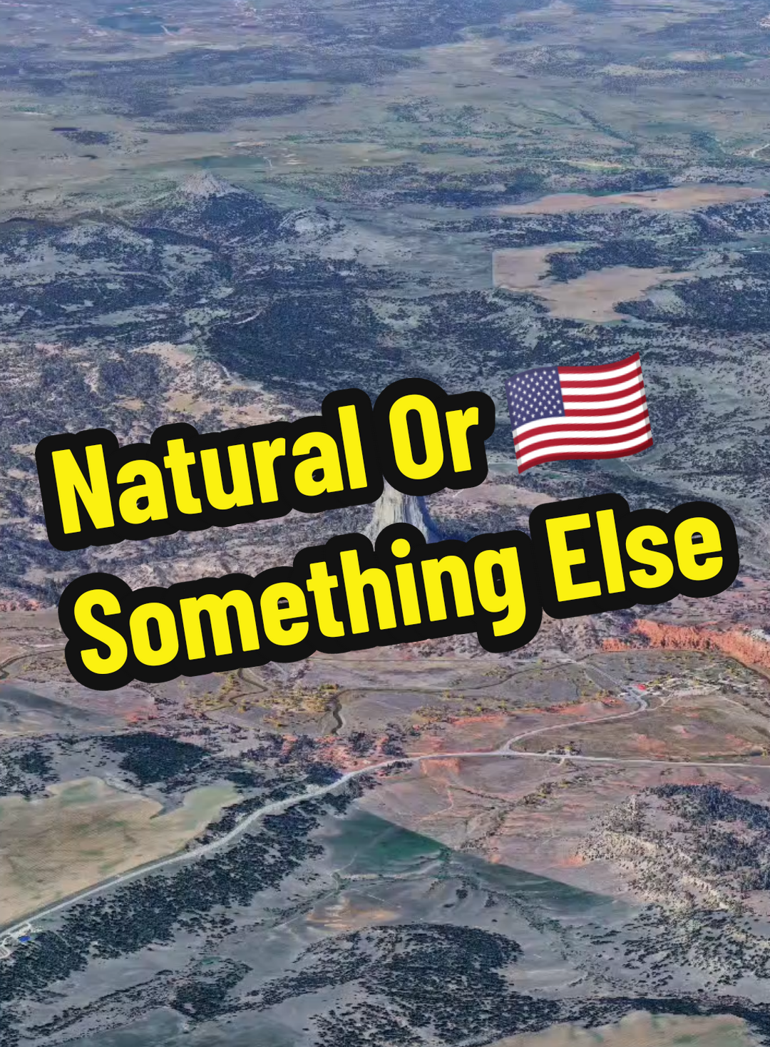 Natural or something Else? You Decide #treefacts #deviltower #earthstory #biggesttree #nowyouknow 