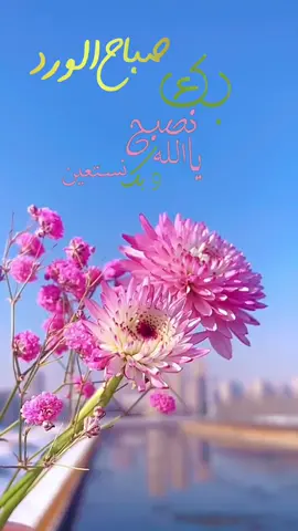 #في هذا اليوم 