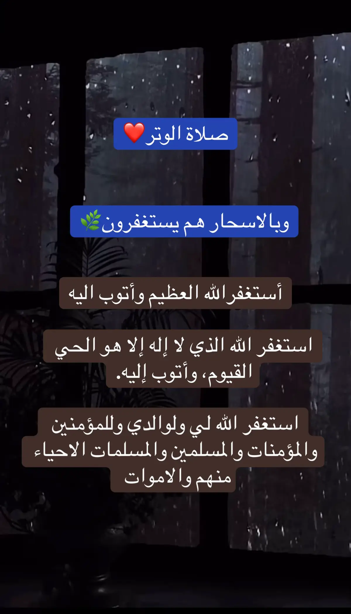 #وبالاسحار_هم_يستغفرون📿 