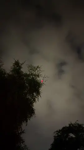 أشفق على شوفه وضحكة حجاجه | #4u #❣️ 