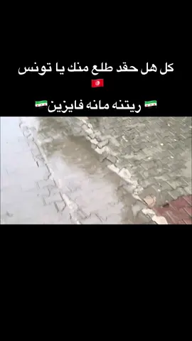 #CapCut  عيب عليكي يا تونس#🇸🇾🇵🇸🫂#حسون_الادلبي🇸🇾 #عباراتكم_الفخمه📿📌 #ترند 