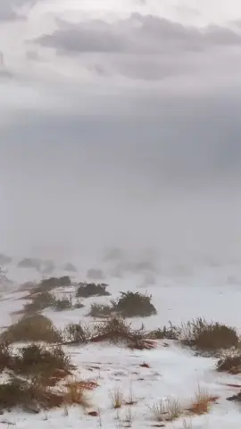 #ابوحصه_ابوعجيب #سامي_بن_سلطان #امطار_حايل #قروب_ابو_حصه #حائل 