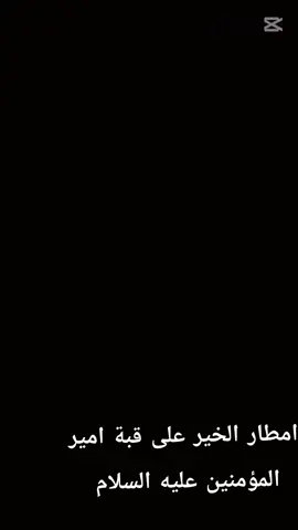 #امير_المؤمنين #النجف_الأشرف #explore #fyp #ياعلي_مدد 