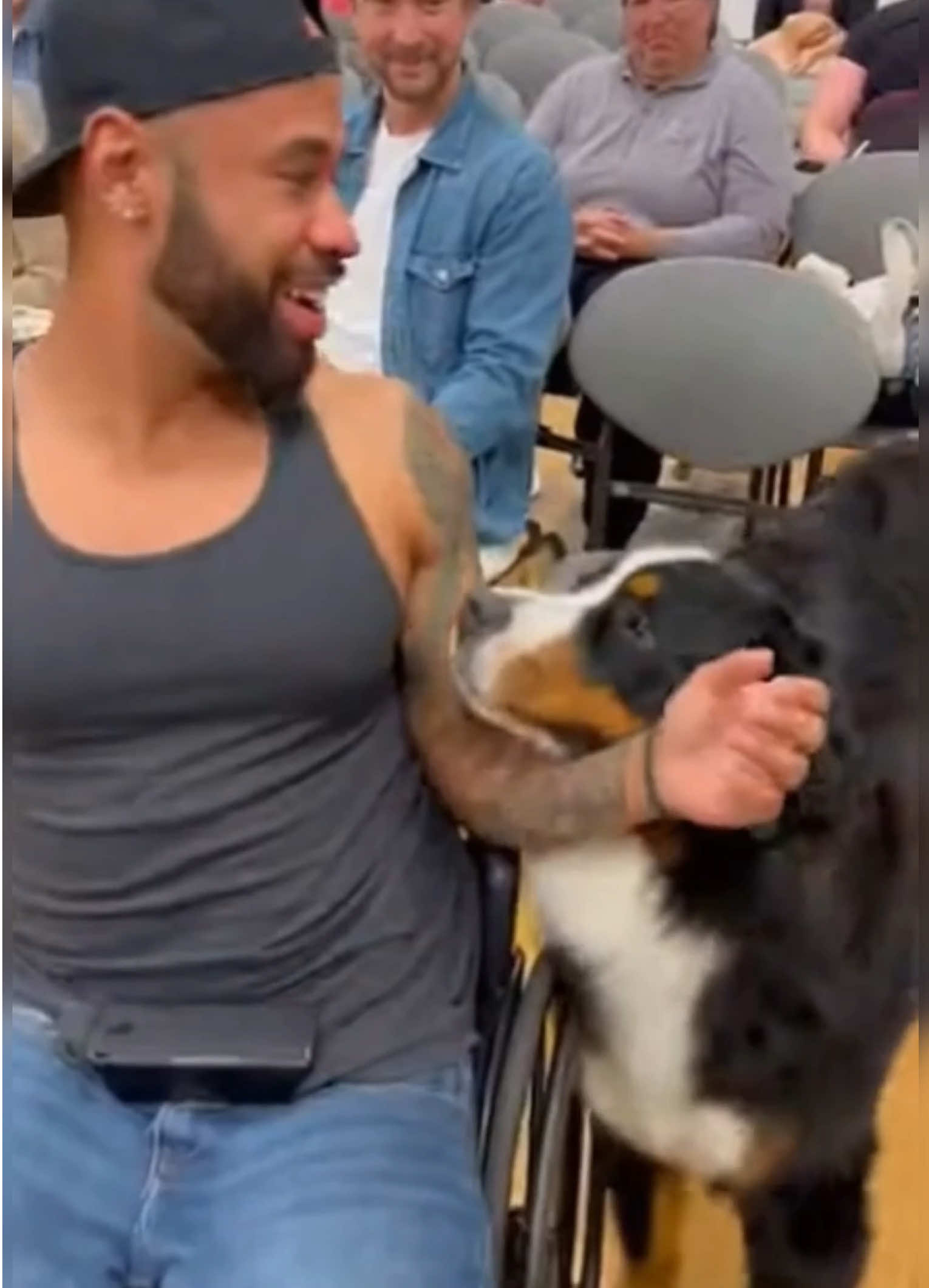 In this place… human get adopted by dogs(part2)  #dogs #adoptme #emotional #viraltiktok #doglovers 