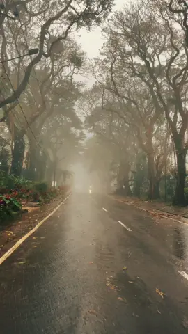 #vibesmalinoberkabut #malinokotabunga #fypシ #masukberanda #foryou 