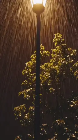 #شعب_الصيني_ماله_حل #rasty_lak #هەوڵێر_دهۆک_کەرکوک_سڵێمانی_هەڵەبجە #foryou #CapCut 