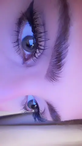 العدسة تايلور براون ✨