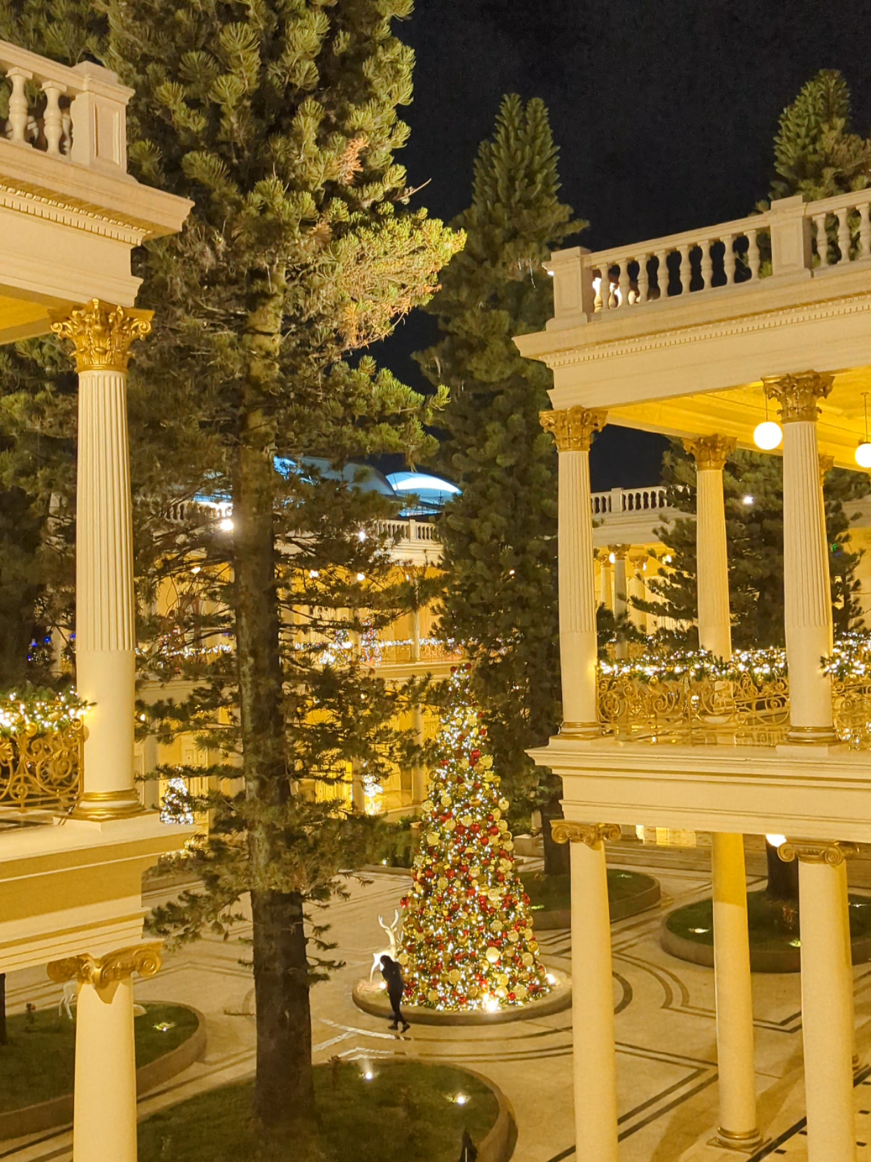 El hermoso Palacio Nacional de El Salvador. 🇸🇻🏛️🎄 @Google Pixel #elsalvador🇸🇻 #navidad #navidadentiktok #mulato #sansalvador 