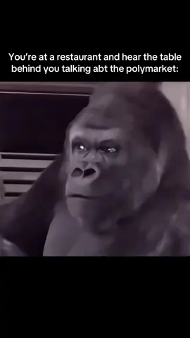 #trading #polymarket #cryptok #crypto #memecoins 