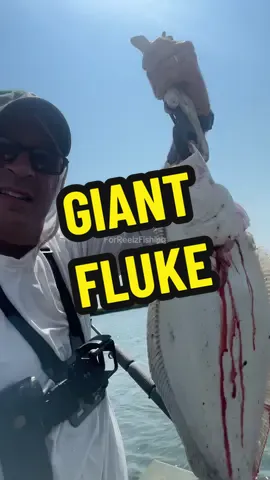 GIANT FLUKE BACK BAY SLAYING #fishing #fishingtips #fishingvideos 