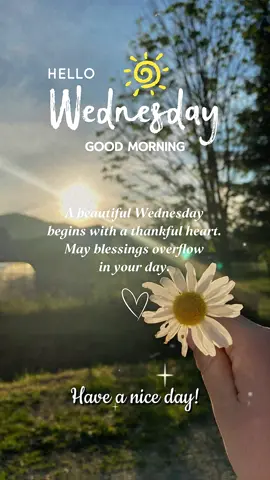 Hello Wednesday 🌸 #CapCut #morning #daily #greetings #aesthetic 