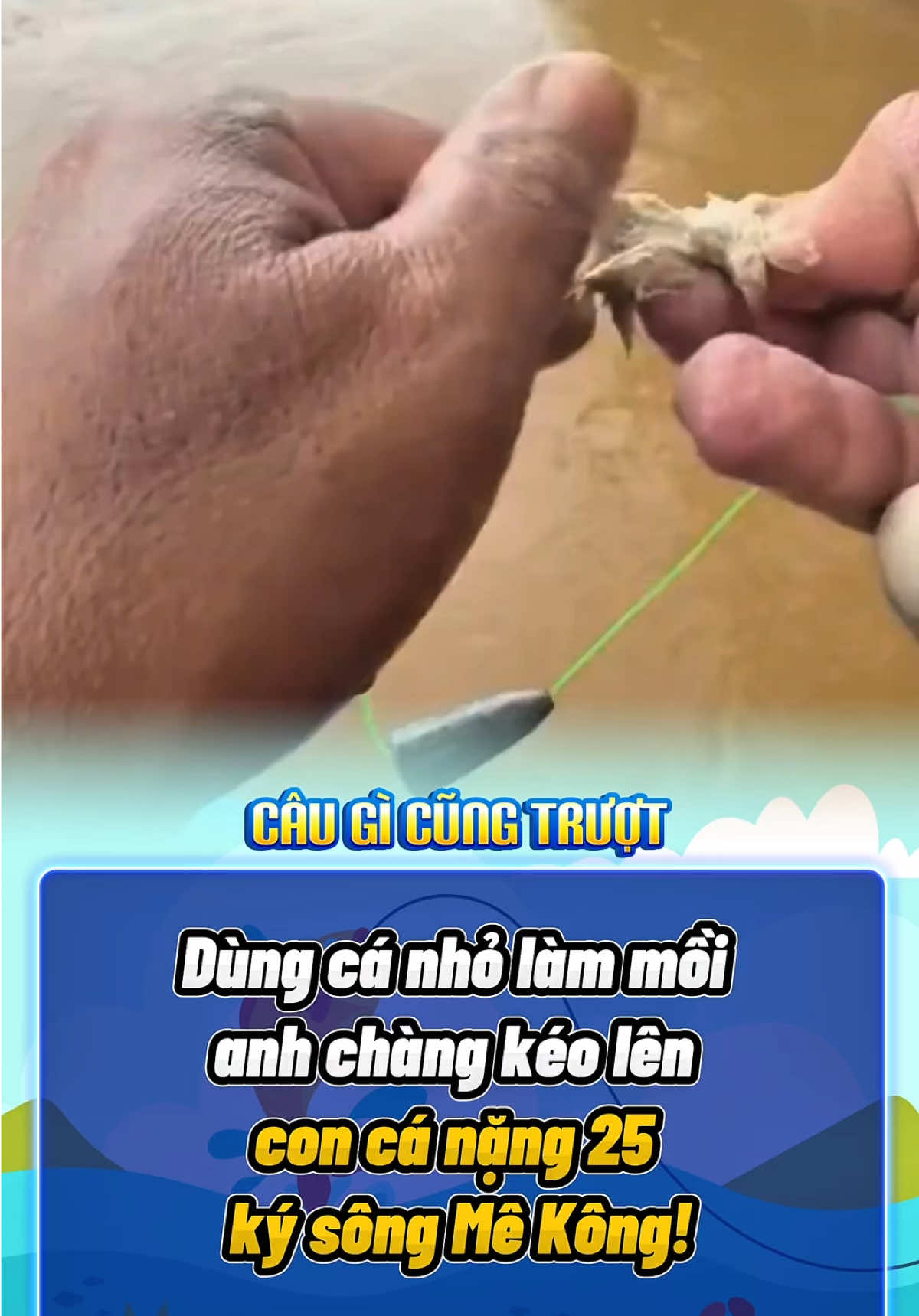 Dùng cá nhỏ làm mồi anh chàng kéo lên con cá nặng 25 ký sông Mê Kông! #fishing #fishinglife #rarecatch #fishingtok #fyp 