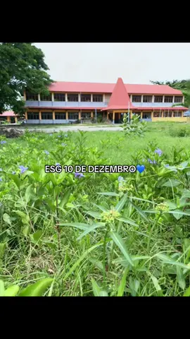 Parabens uma Mahon 10 DE DEZEMBRO 🩵😍#esg10dedezembro💙💙🔥🔥 #fyptimorpride🌴🇹🇱 #ALUMNIesg10dedezembro💙💙😘#fypシ゚ 