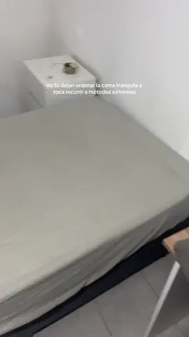 free benito #fyp #michi