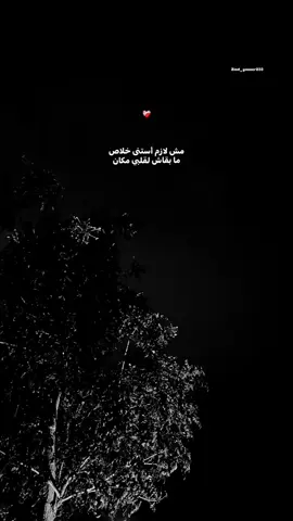 #fyp #foryou #tamerashour 