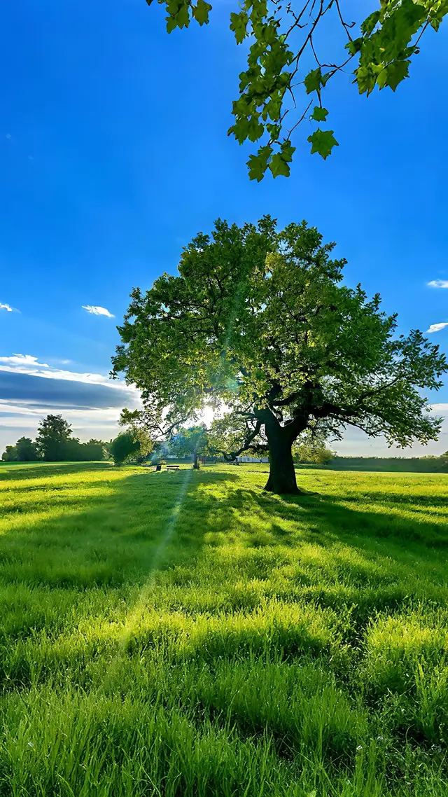 #fyp #nature #travel 