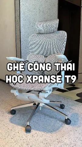 Ghế công thái học Xpanse T9 