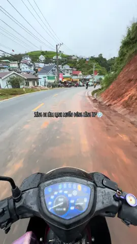 Đà Lạt 14⁰#xuhuong #đàlạt 