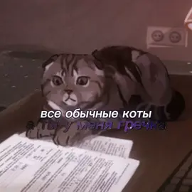 #тпох #thepromiseofhope #гречка #гречкатпох #кощко #греча #тпох #антон #антонтпох #антонтяночкин 