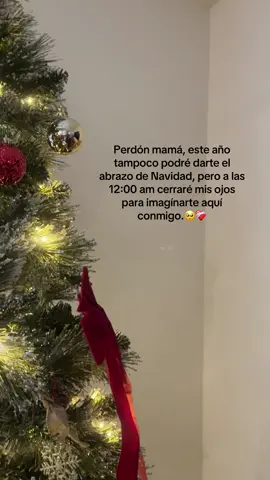 Perdón mami por estar tan lejos de usted 🥺💗❤️‍🩹#mamalaextraño🥹👩🏻❤️🇬🇹#navidadlejosdecasa #familia🥺🫶🇺🇸🇬🇹❤️‍🩹#videoparatiiiiiiiiiiiiiiiiiiiiii 