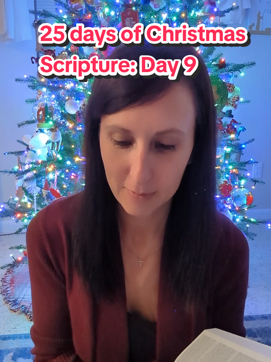Day 9 of my 25 Days of Christmas Scripture 🎄 Today’s reading is John 1:6–9, the introduction of John the Baptist as a witness to the Light. These verses remind us that the true Light was already coming into the world, shining into the darkness, and calling people to believe. The incarnation is drawing closer. #christmas #jesus #dailyscripture #prophecy #johnthebaptist 