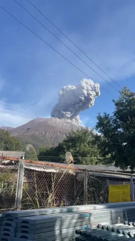 Kecuali kiamat sama tsunami ga bakal berhenti genba mah #genba #fyp #abcxyz #kenshuseijapan🇮🇩🇯🇵🎌 #sakurajimamai 