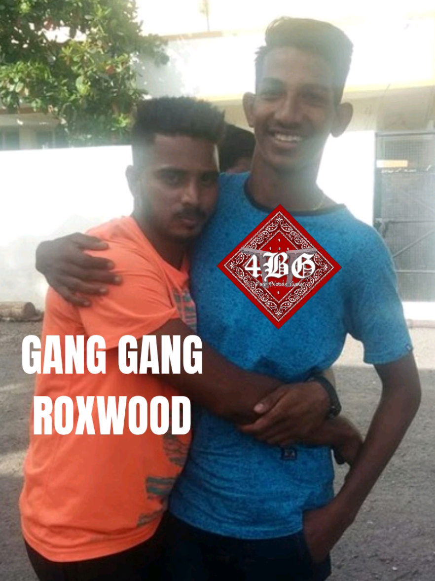 bukan rt tapi bupatinya roxwood ye 4b 🥰🥰,btw W RP 5STAR W ROXWOOD W 4B @deasywdy #4blood #imeroleplay #imerp 