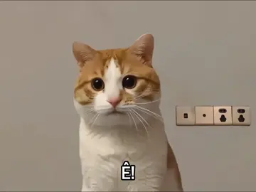 Ê... #xuhuongtiktok #flypシ #darkstar_grp🐦 #viralvideo #xhhhhhhhhhhhhhhhhhhhh 