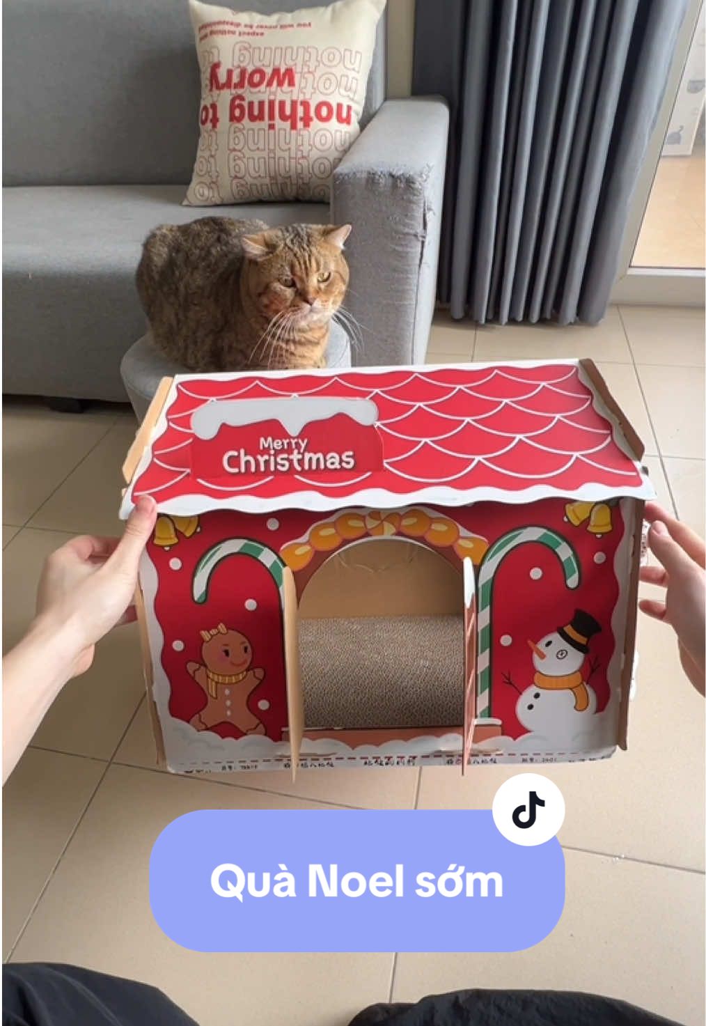 không có quà không mở mắt 😼 #meocheese #HotdealLazada #1212LazadaSaleToCuoiNam #LazadaVN