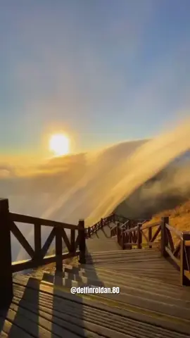 #Bendecido Miércoles#LIVEIncentiveProgram #LIVEStory #PaidPartnership 