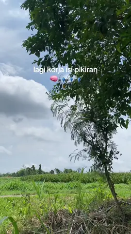 #pemancingindonesia #streak #fypppppp 