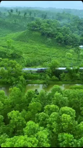 ِبَادُ الرَّحْمَـٰنِ الَّذِينَ يَمْشُونَ عَلَى الْأَرْضِ هَوْنًا وَإِذَا خَاطَبَهُمُ الْجَاهِلُونَ قَالُوا سَلَامًا#محمد- المحيسني#قران_كريم #راحة_نفسية #اكسبلورexplore 