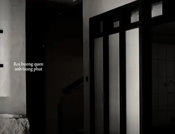 Em gieo bao nhiêu nồng say rồi…#capcut #capcutpioneer #pioneertemplate #motngaybuon 