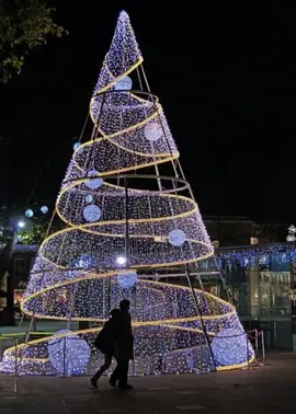 árbol de navidad de chiclayo #navidad #chiclayo #arboldenavidad #videosgraciosos #videosdehumor 