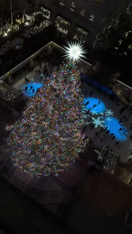 A view from the top of #30Rock of the #rockefellerchristmastree! #nyc 