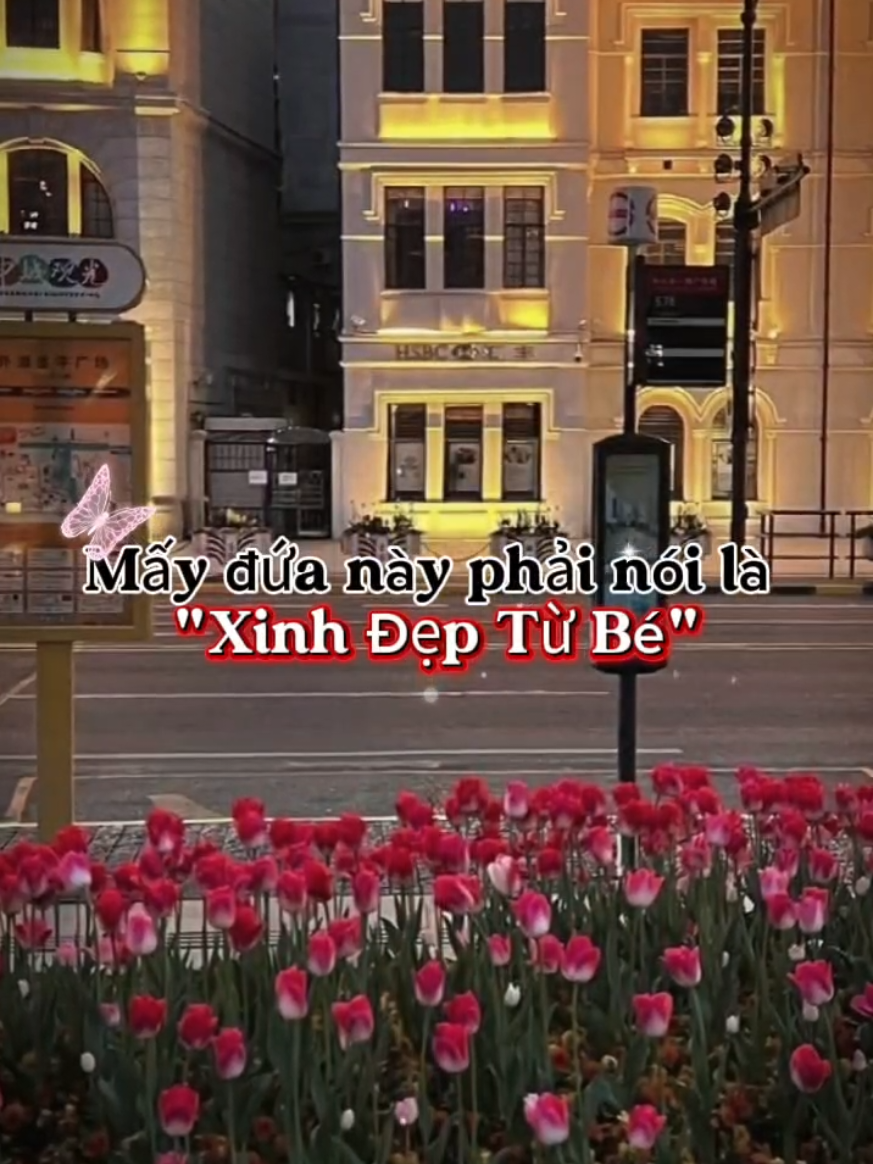 Mấy đứa này phải nói là 