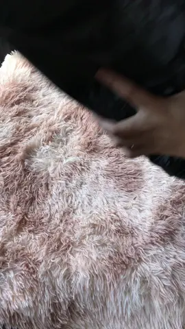 4 Big packs tissue ✨