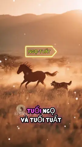 phong thủy tử vi 12 con giáp  Ngọ, Tuất  Ngựa và Chó #phongthủy #tửvi #12congiap #ngọ #tuất 