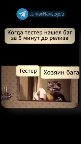 Тгк: juniornavsegda #программирование #codingmemes #recommendations #войтивайти #juniornavsegda 