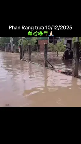 #thayvevuon #86 #viral #fyp #xuhuong 