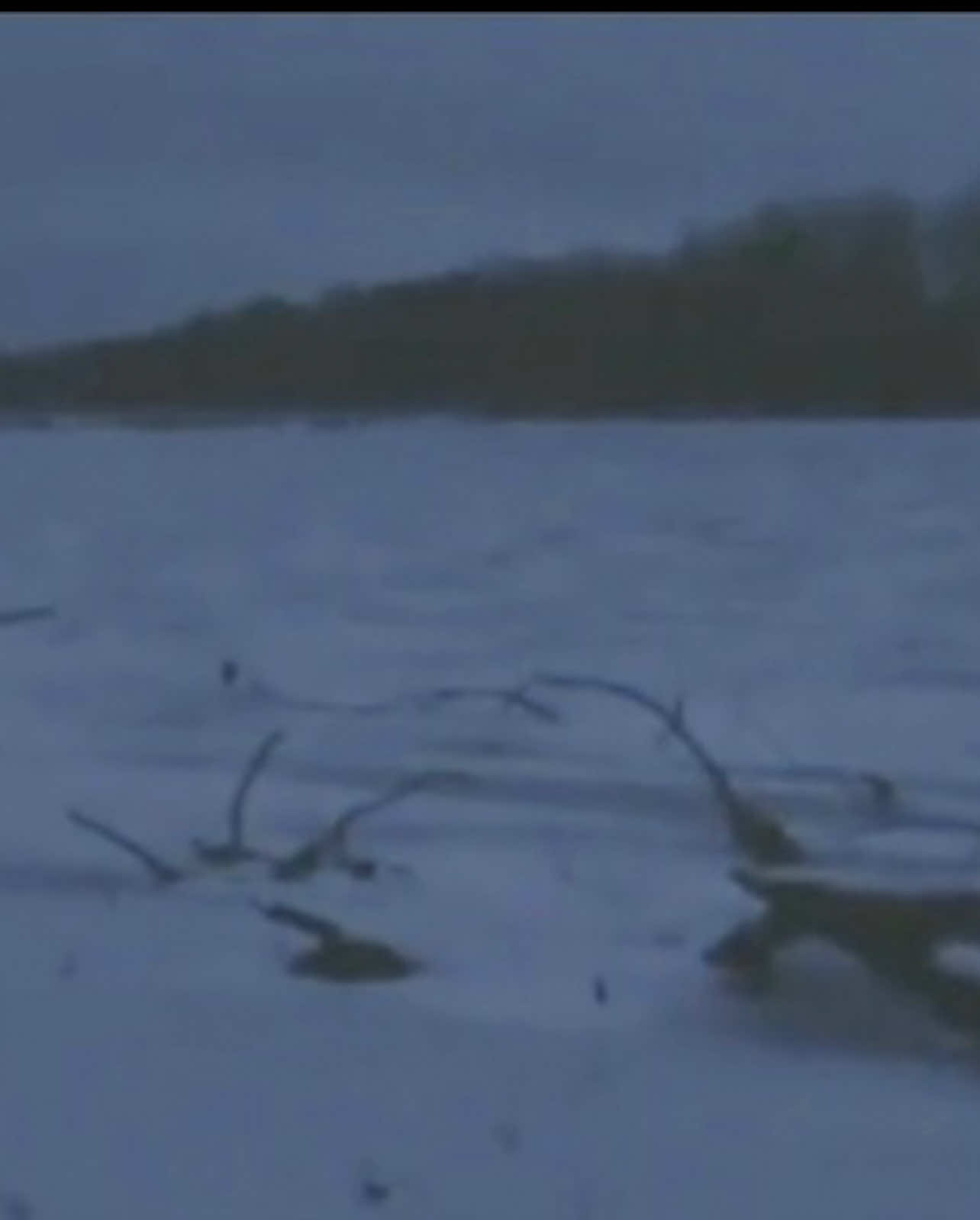 i just want to live here forever #winter #snow #ice #aesthetic #sad 