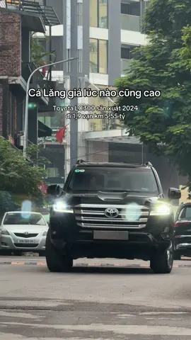 Cá Lăng giá lúc nào cũng cao 🚘  Toyota LC300 sản xuất 2024 đi 1,9 vạn km #hadat568 #Toyota #LC300 #LandCruiser 