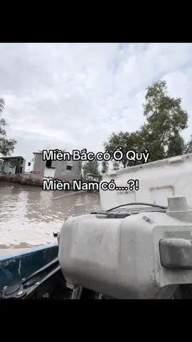 #tuanvi2811 #livefest2025 #tamtrang #fyp 