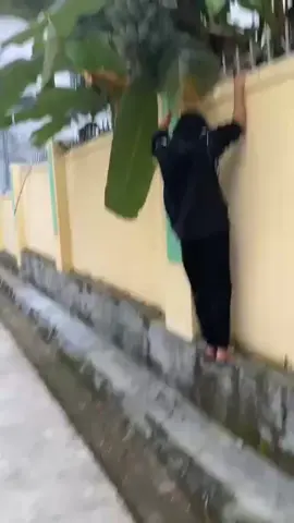 xxhh hộ cái #xuhuongtiktok #viralvideo #xhuongtiktok #viralvideo #xhhhhhhhhhhhhhhhhhhhhhhh 